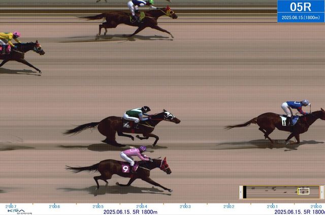 서울 5경주에서 벌어진 치열한 2위 경쟁. /한국마사회 제공