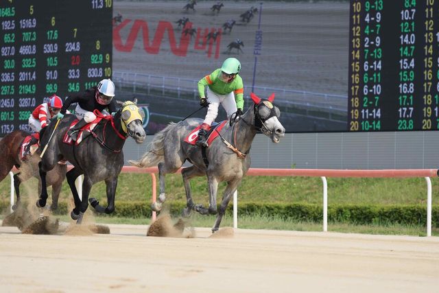 우승마 '라온포레스트'와 최범현 기수의 우승 모습. /한국마사회 제공
