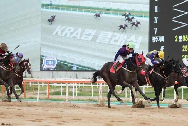 2024년도 KRA컵 클래식 우승마 '글로벌히트'. /한국마사회 제공