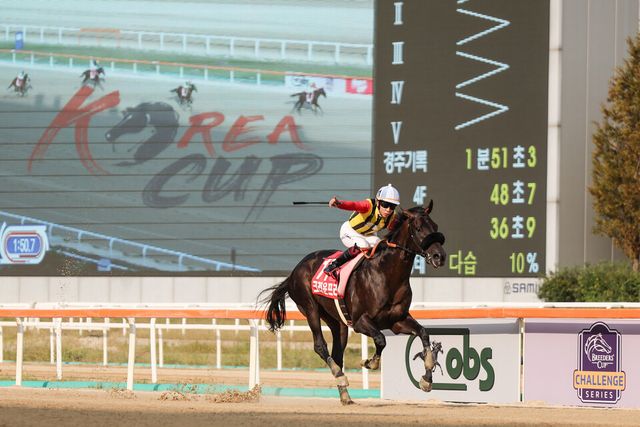 2024년도 코리아컵 우승마 '크라운프라이드'. /한국마사회 제공