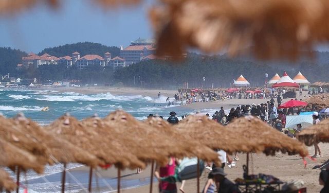 올해 여름휴가를 실시하는 기업들의 평균 휴가 일수가 3.7일로 조사됐다. /연합뉴스