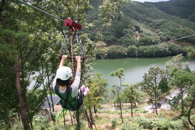 보성 제암산 휴양림. /대웅 제공