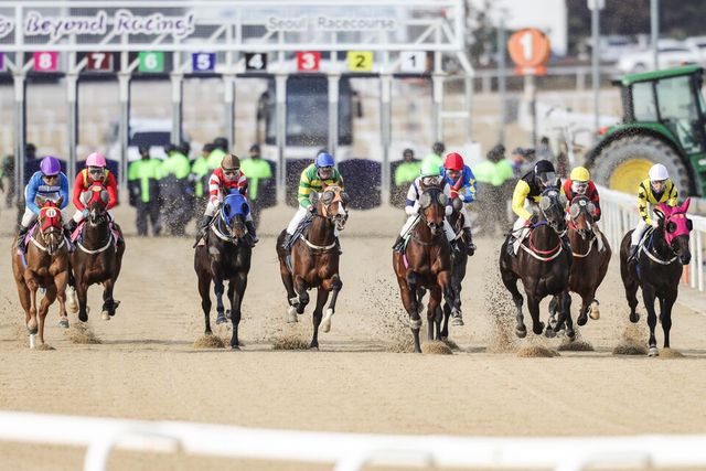 경마 장면. /한국마사회 제공