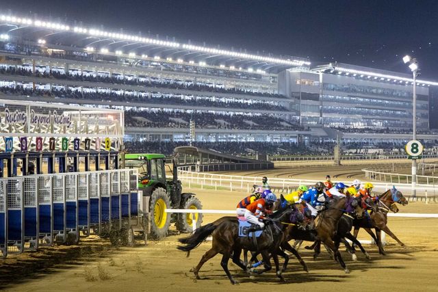 여름철 야간경마 모습. /한국마사회 제공