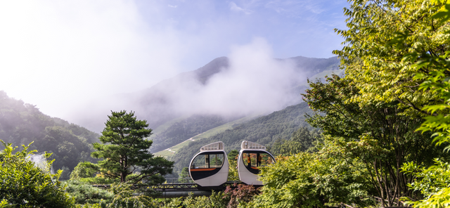 화담숲이 시원한 숲속에서 다채로운 숲캉스를 즐길 수 있는 '쿨썸머 숲캉스 패키지'를 선보인다. /곤지암리조트 제공