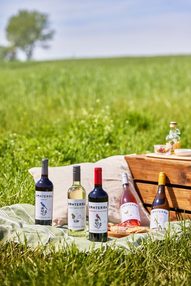 ‘본테라’가 지난해 상반기 대비 판매량이 200% 이상 신장했다./아영FBC