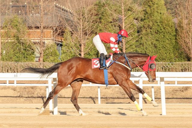 문세영 기수의 2000승 달성 경주 모습. /한국마사회 제공