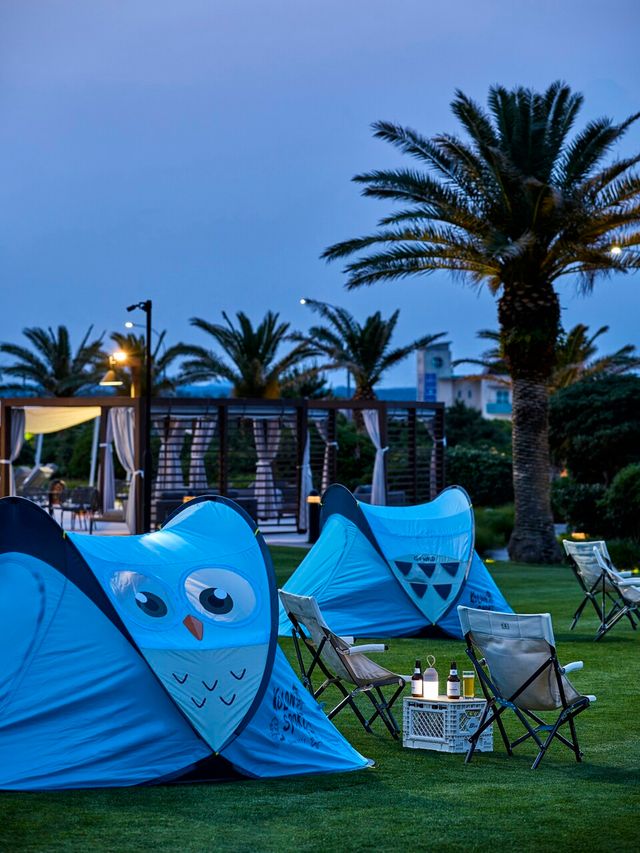 코오롱스포츠와 협업해 조성한 '고 와일드 피크닉 텐트존'. /해비치 호텔앤드리조트 제공