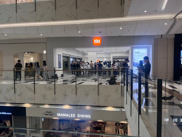 중국산 전자제품이 국내 시장을 빠르게 잠식하는 가운데 국내에 상륙한 중국 정보통신(IT) 기업 샤오미의 개인정보 보안 문제가 도마에 올랐다./박정현 기자