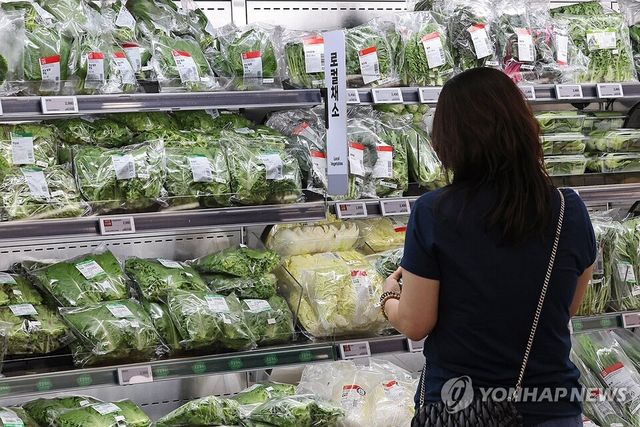 한국은행이 21일 발표한 '2025년 7월 생산자물가지수(요약)'에 따르면 지난달 생산자물가지수는 120.20(2020년 수준 100)으로, 6월보다 0.4% 상승했다. /연합뉴스