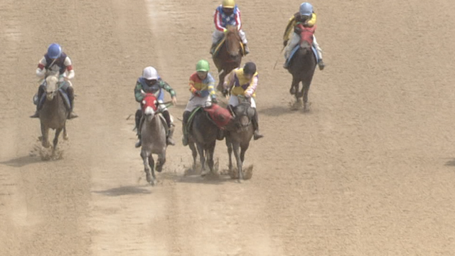 '정정당당'이 라이벌 경주마를 깨무는 장면. /한국마사회 제공