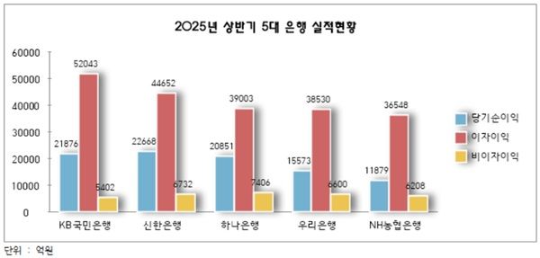 2025년 상반기 5대 은행 실적현황. /이성노 기자