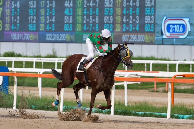 서울탱크. /한국마사회 제공