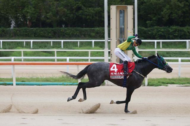 KRA컵 클래식에서 '석세스백파'와 진겸 기수가 결승선 통과하는 모습. /한국마사회 제공