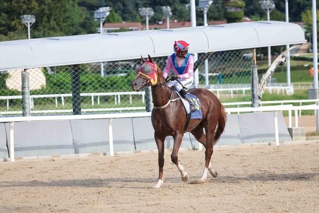 지난 14일 문화일보배 우승마 무제한급과 빅투아르 기수. /한국마사회 제공