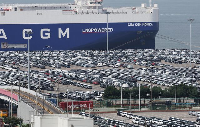 경기도 평택항에 수출용 자동차가 세워져 있는 모습./연합뉴스
