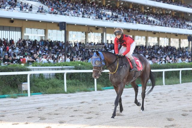 제주특별자치도지사배 우승마 '보령라이트퀸'과 정도윤 기수. /한국마사회 제공