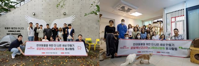 로얄캐닌코리아 임직원들이 레이앳홈(왼쪽)과 나비야사랑해 고양이 보호소에서 유기묘를 위한 봉사활동을 펼쳤다./로얄캐닌코리아