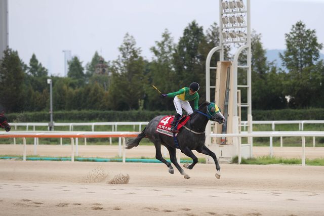 석세스백파. /한국마사회 제공