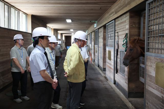 제주목장 안전관리 현장점검 중인 정기환 한국마사회장. /한국마사회 제공
