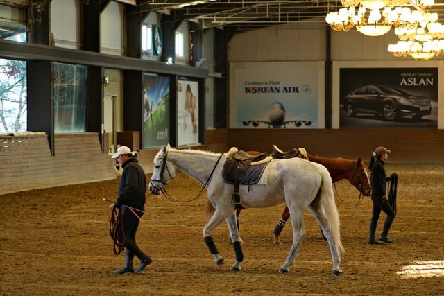 '스티븐 승마 클럽'. 롯데백화점 제공