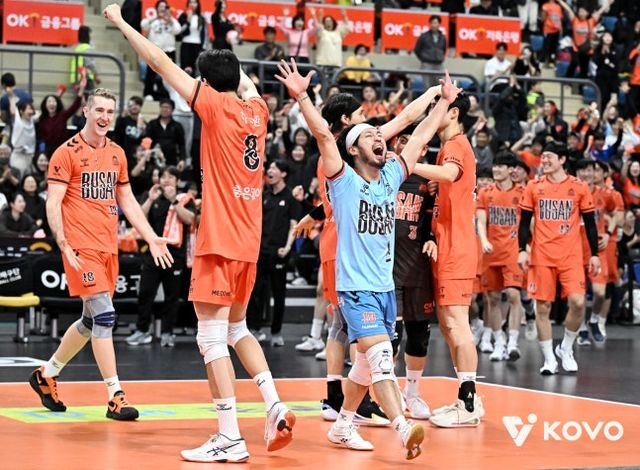 OK저축은행 선수들이 기뻐하고 있다. /한국배구연맹 제공