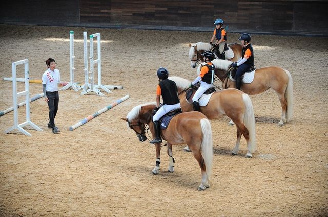 유소년 승마단 교육 현장. /한국마사회 제공