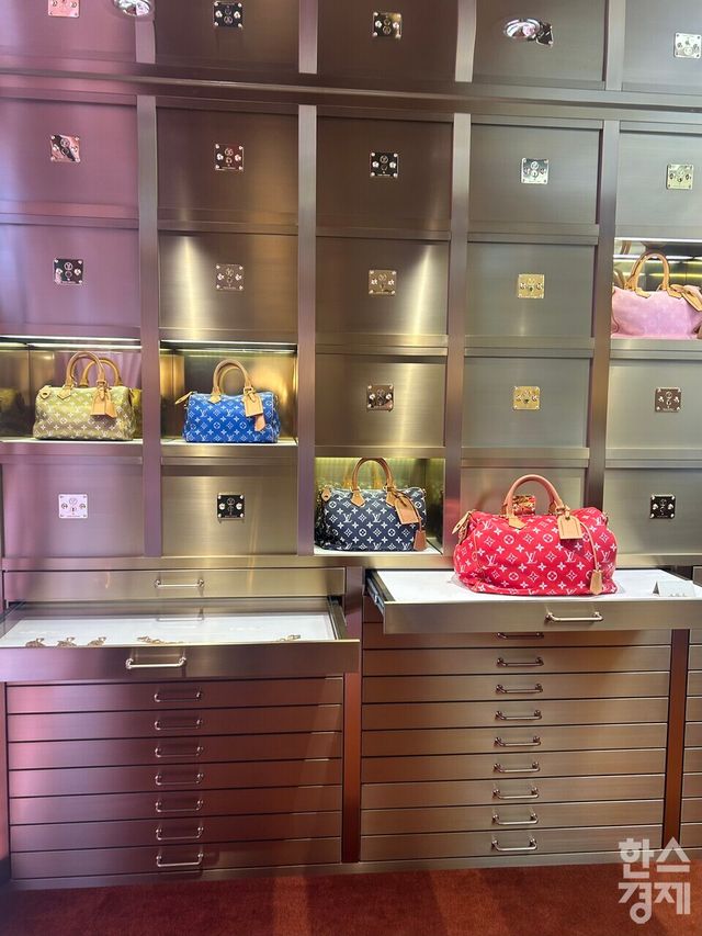 ‘스피디 P9’ 제품들./ 하지현 기자