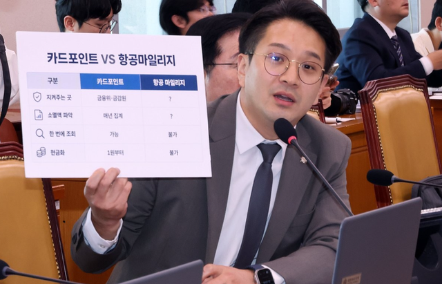 &nbsp;전용기 더불어민주당 위원이 항공 마일리지와 관련해 질의를 진행하고 있다. 연합뉴스