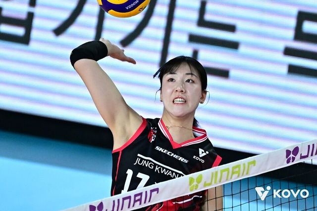 정호영. /한국배구연맹 제공