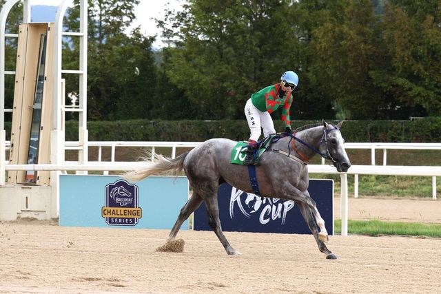 베스트레이스. /한국마사회 제공