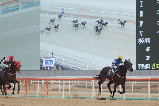 크라운함성. /한국마사회 제공