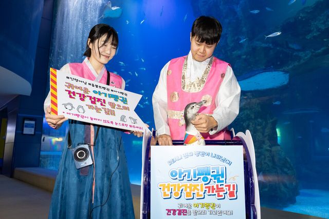 아쿠아리움 '아기펭귄 건강검진 가는 길' 행사 모습. /롯데월드 제공