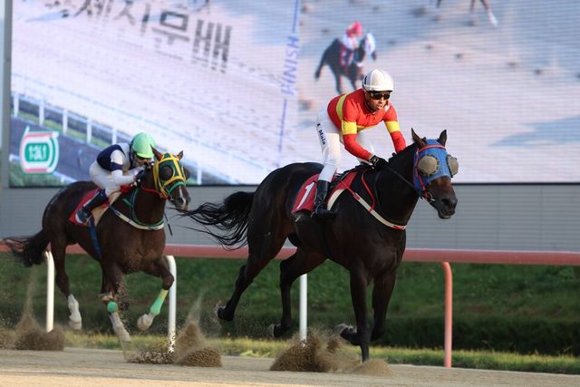 문학보이. /한국마사회 제공