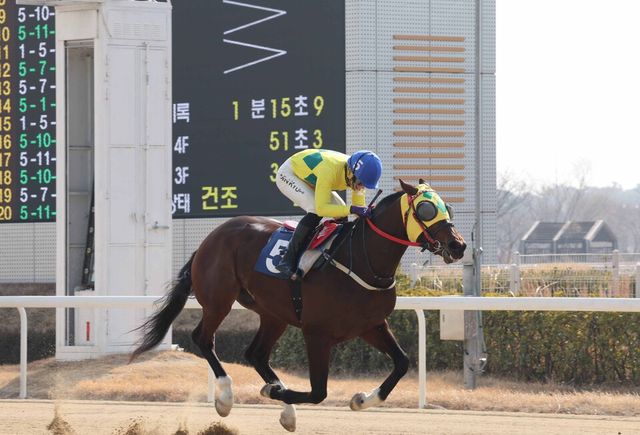 진겸 기수가 개인 통산 300승 달성 결승선을 통과하고 있다. /한국마사회 제공