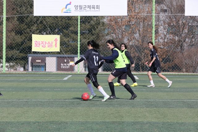 2026 달달영월 전국 여성 축구 페스티벌. /SH스포츠에이전시 제공