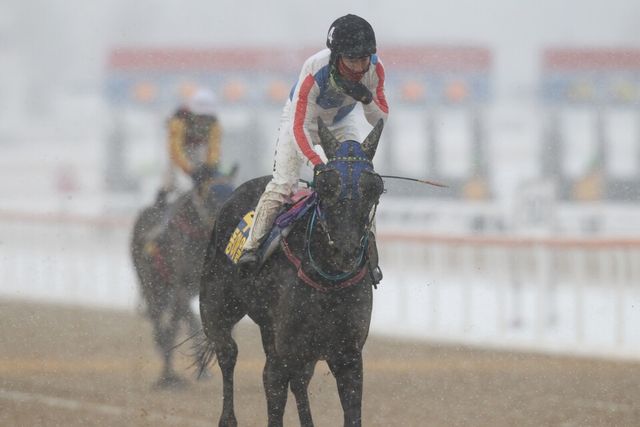 폭설 속에 열렸던 제20회 동아일보배. /한국마사회 제공