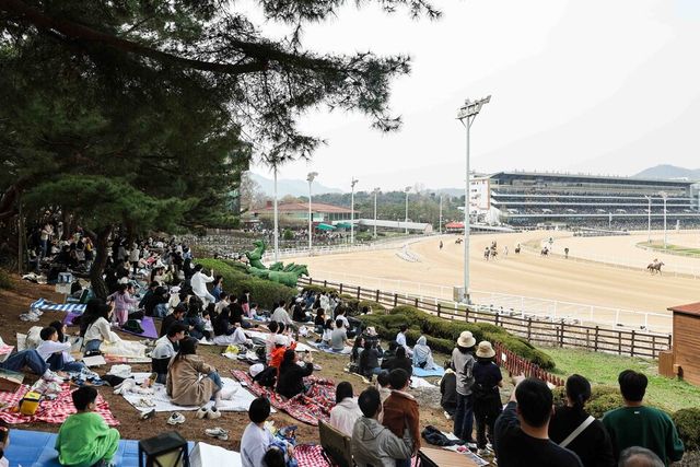 시민들이 렛츠런파크 서울에서 경마를 구경하고 있다. /한국마사회 제공