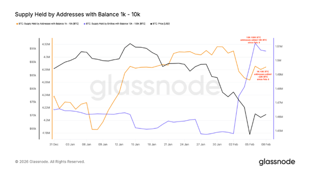 /글래스노드 캡처