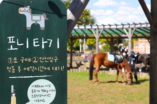 렛츠런파크 서울의 포니체험 프로그램이 재개한다. /한국마사회 제공