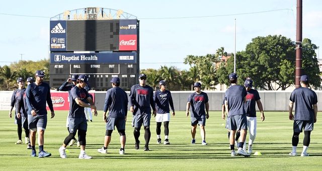 야구 대표팀 선수단이 미국 마이애미에서 몸을 풀고 있다. /연합뉴스