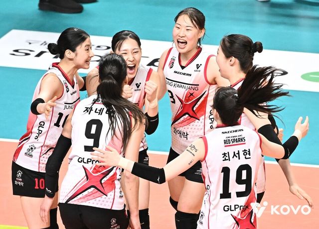 정관장 선수들이 기뻐하고 있다. /한국배구연맹 제공
