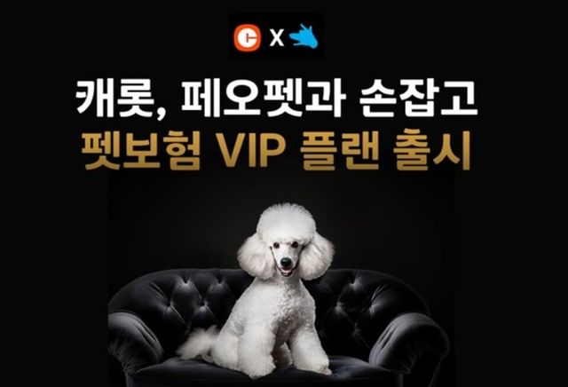 펫보험&nbsp;VIP&nbsp;플랜. 사진/한화손해보험