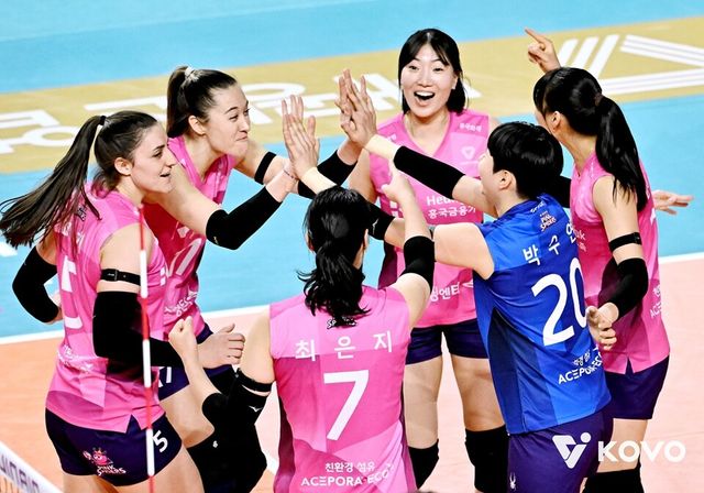 프로배구 V리그 여자부 흥국생명&nbsp;선수단. /한국배구연맹 제공