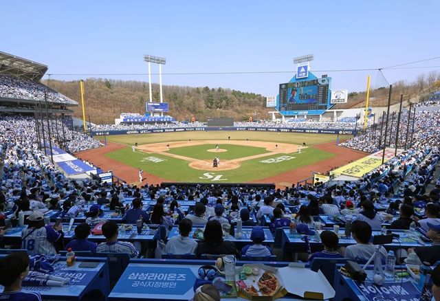 28일 프로야구 개막전이 열린 대구 삼성라이온즈파크 전경. /삼성 라이온즈 제공