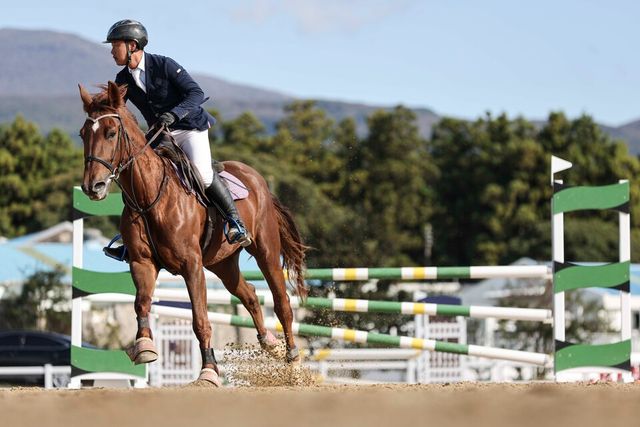 (부정기2)(사진) 승마 중인 모습