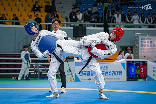 지난해 전국종별선수권 겨루기 장면. /대한태권도협회 제공