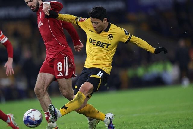 황희찬. /연합뉴스