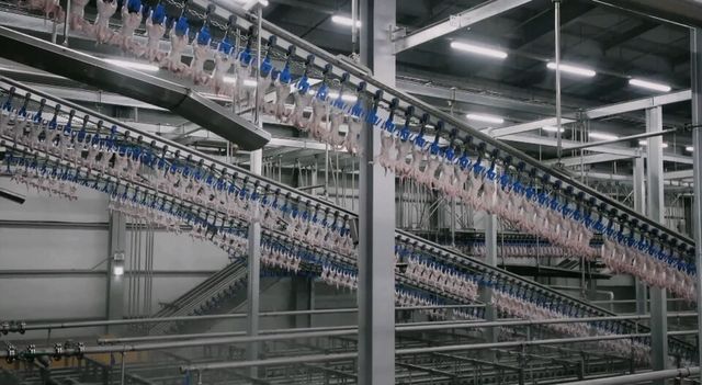 하림 에어칠링./ 하림 제공