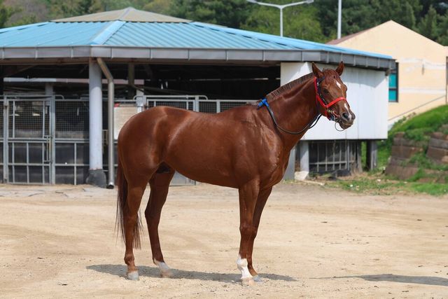 (기획1)(사진4) 황금어장